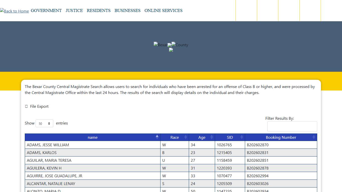 Bexar County Central Magistrate Search